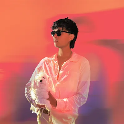 Far From Home album cover