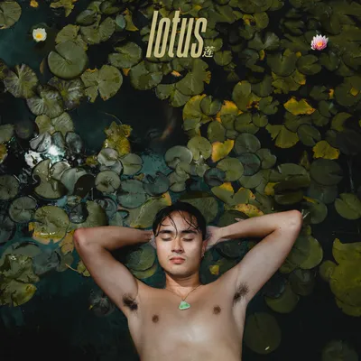Lotus album cover